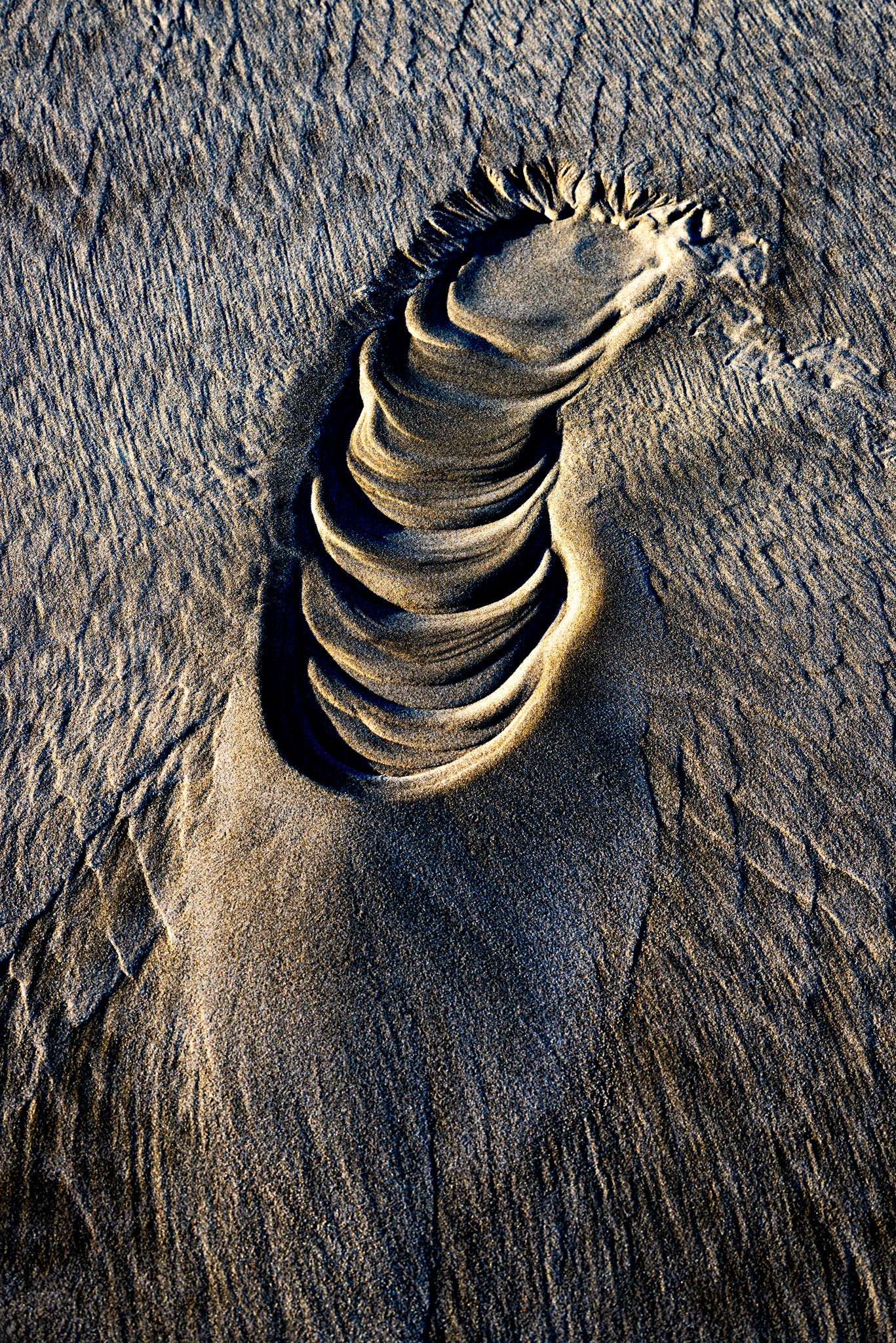 By the Sea - Imprints Series No.2