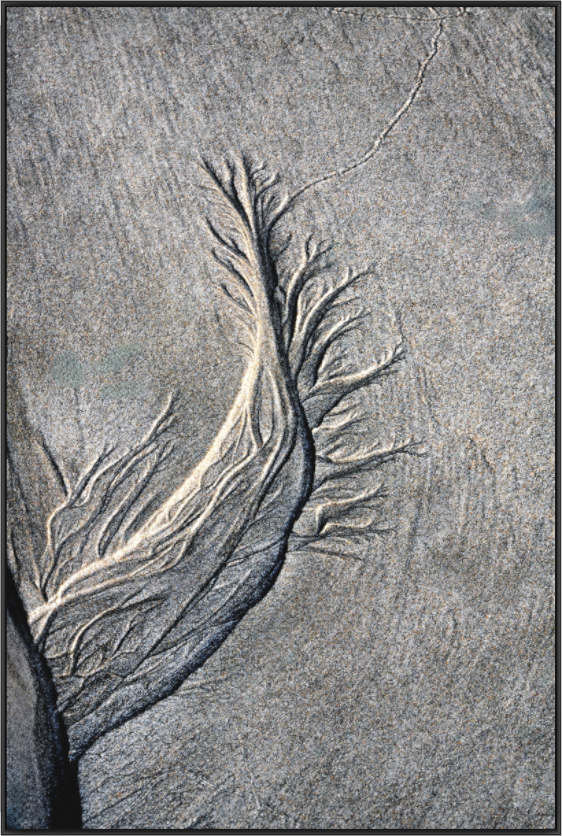 Main image By the Sea - Sand Rivers No.3
