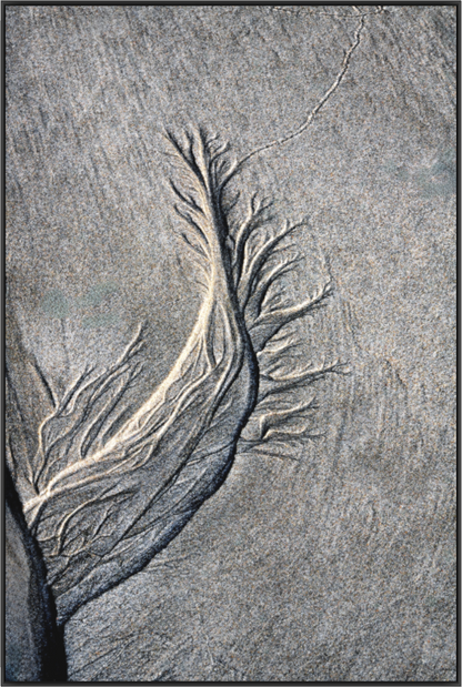 Main image By the Sea - Sand Rivers No.3