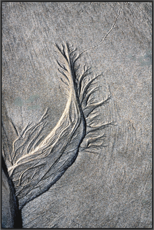 Main image By the Sea - Sand Rivers No.3