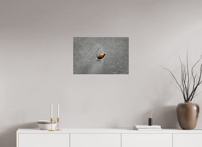 24 x 16″, Fine Art Print Centerpiece Series No.1