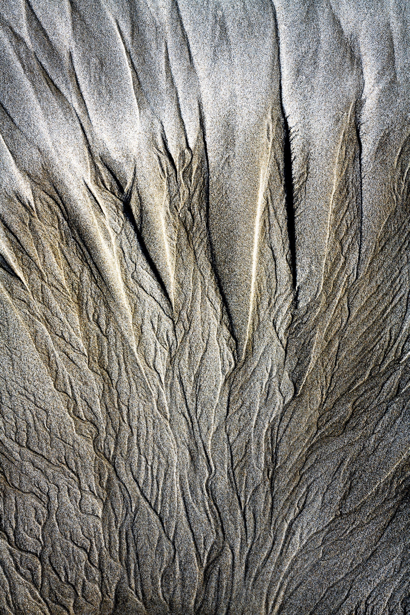 By the Sea - Sand Rivers Series No.5