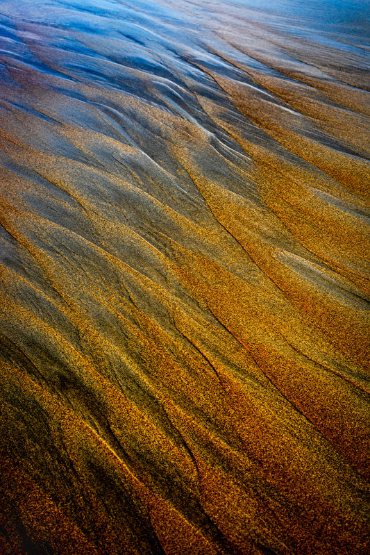 By the Sea - Bold Color Series No.1
