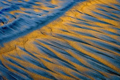 By the Sea - Bold Color Series No.2