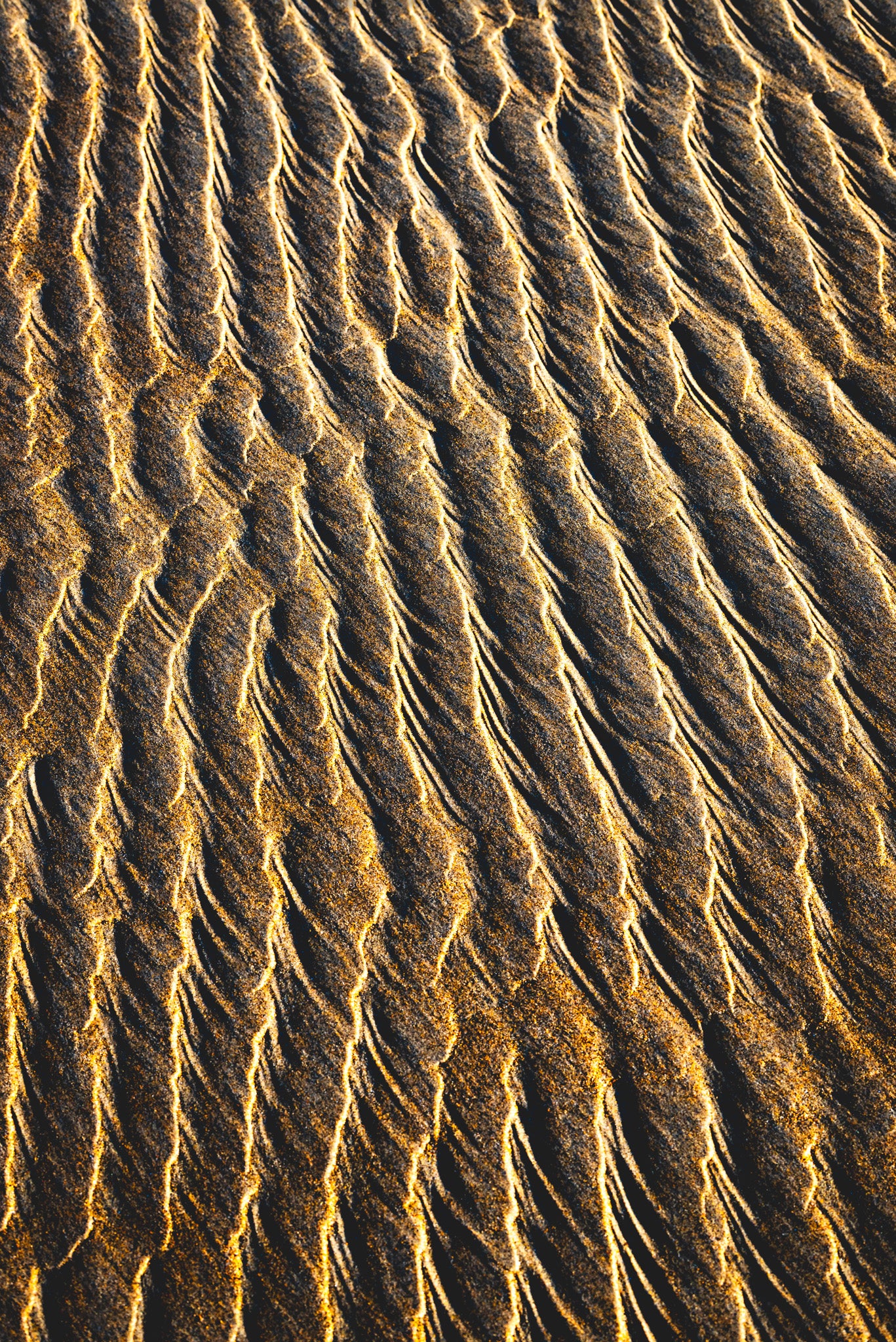 By the Sea - Bold Color Series No.3