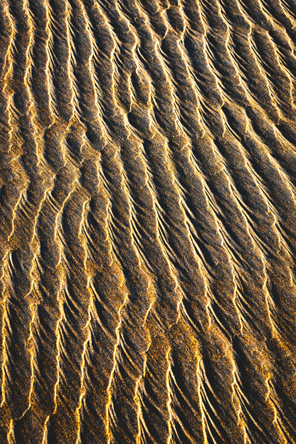 By the Sea - Bold Color Series No.3
