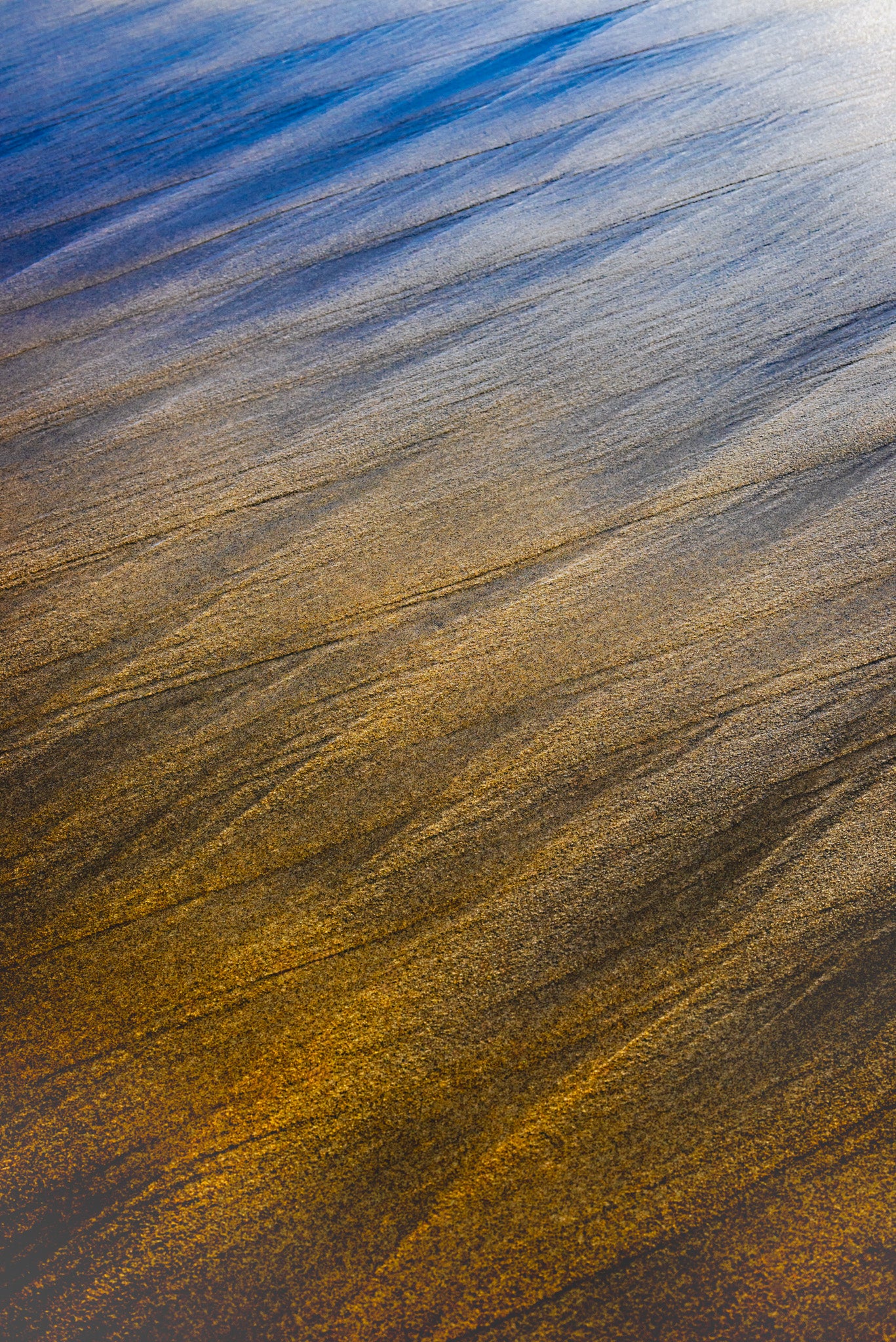 By the Sea - Bold Color Series No.6