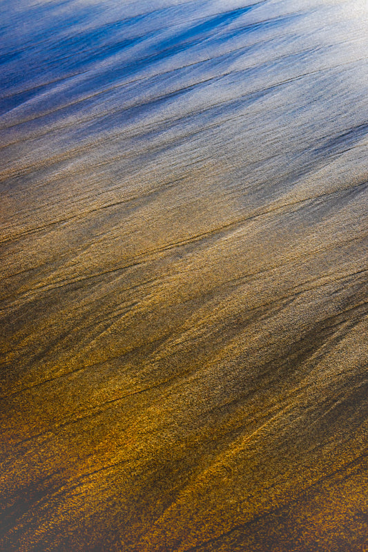 By the Sea - Bold Color Series No.6