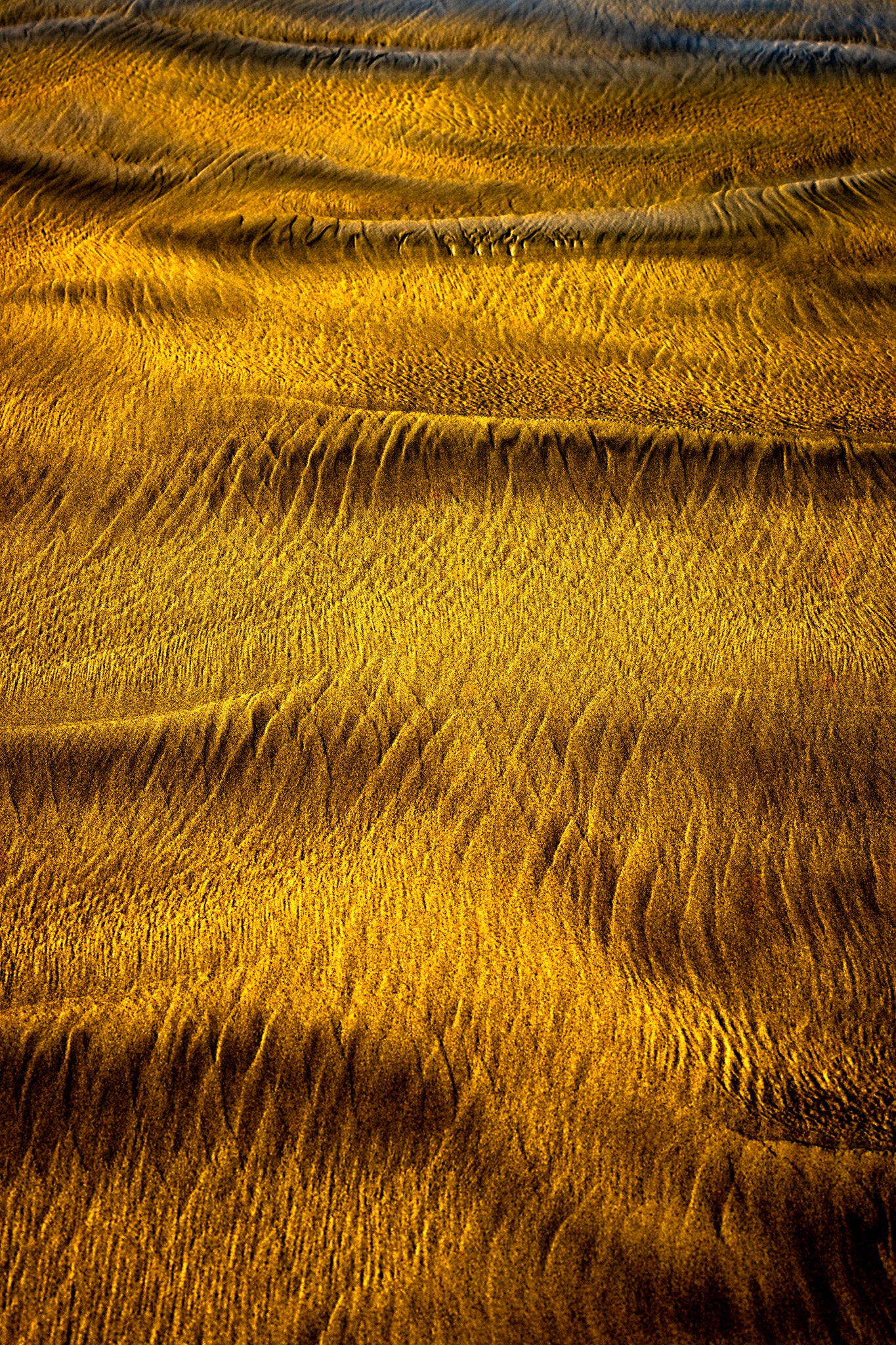 By the Sea - Bold Color Series No.7