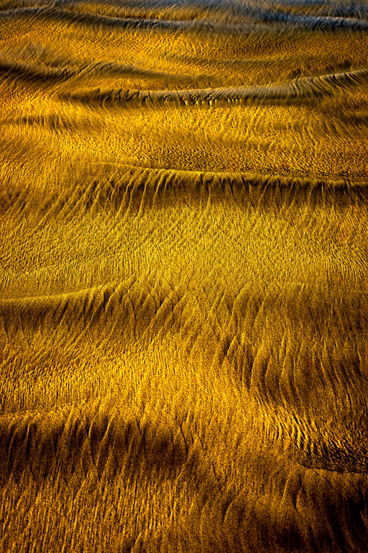 By the Sea - Bold Color Series No.7