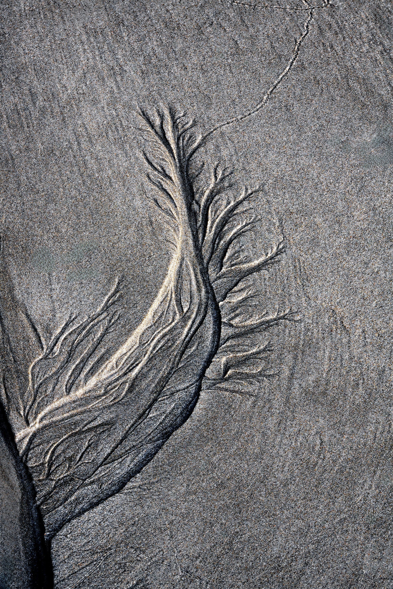 By the Sea - Sand Rivers No.3