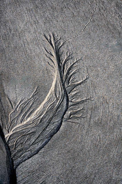 By the Sea - Sand Rivers No.3