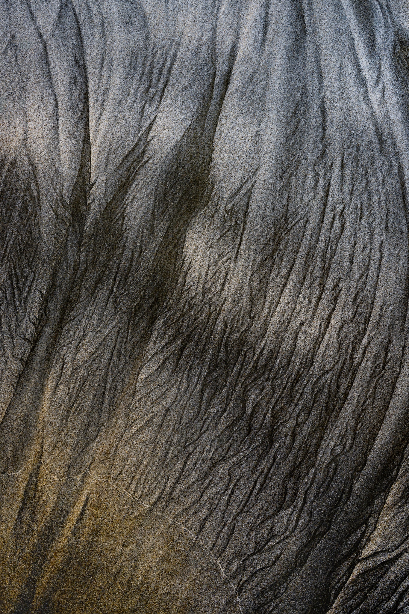 By the Sea - Sand Rivers Series No.2