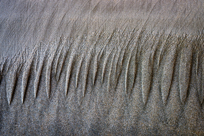 By the Sea - Graphic Series No.1