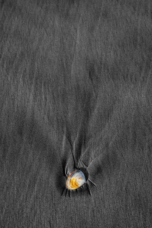 Stand Out Series No.6