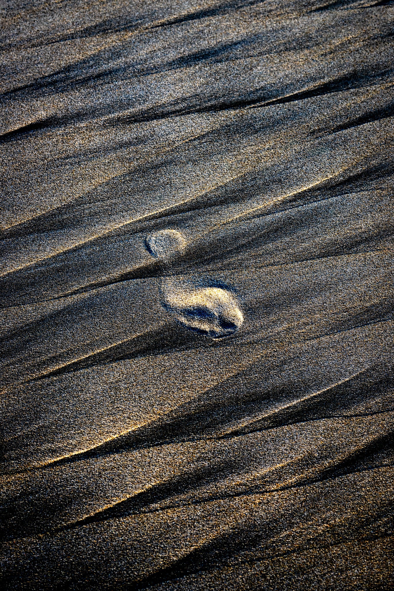 By the Sea - Imprints Series No.3