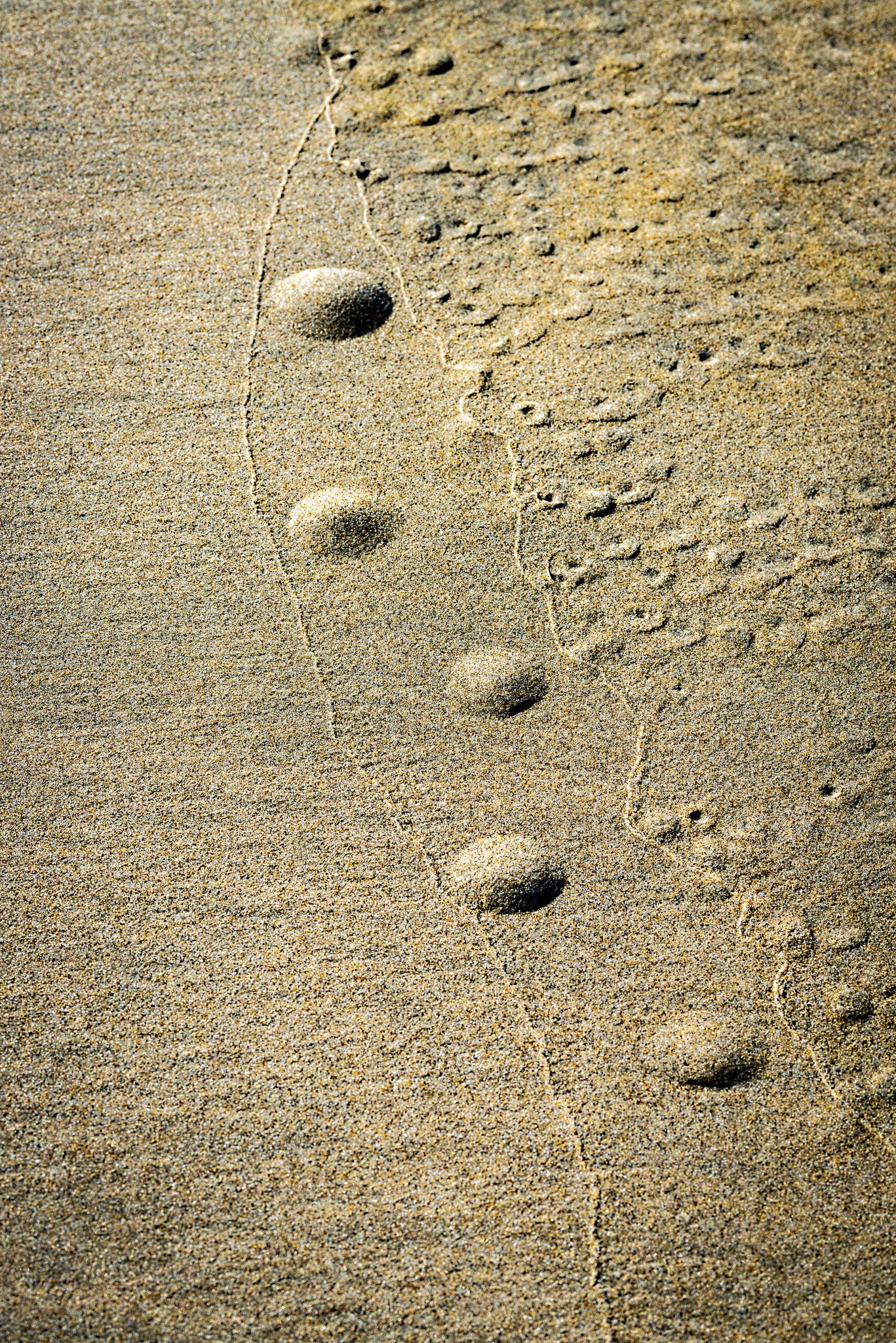 By the Sea - Imprints Series No.4
