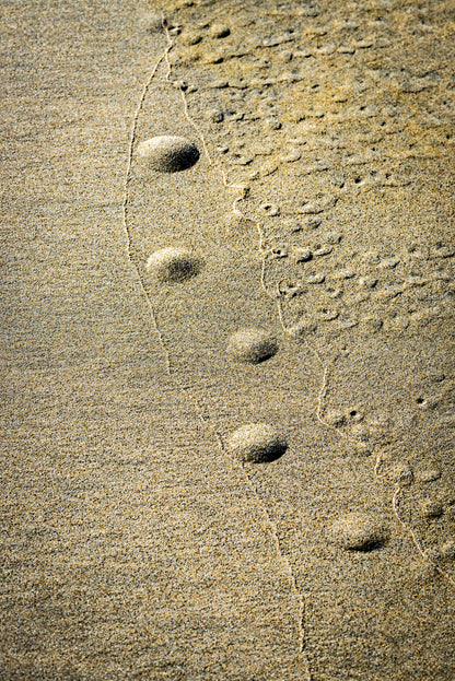 By the Sea - Imprints Series No.4