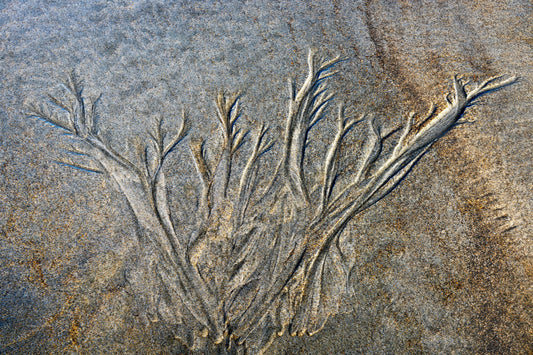 By the Sea - Sand Rivers Series No.1