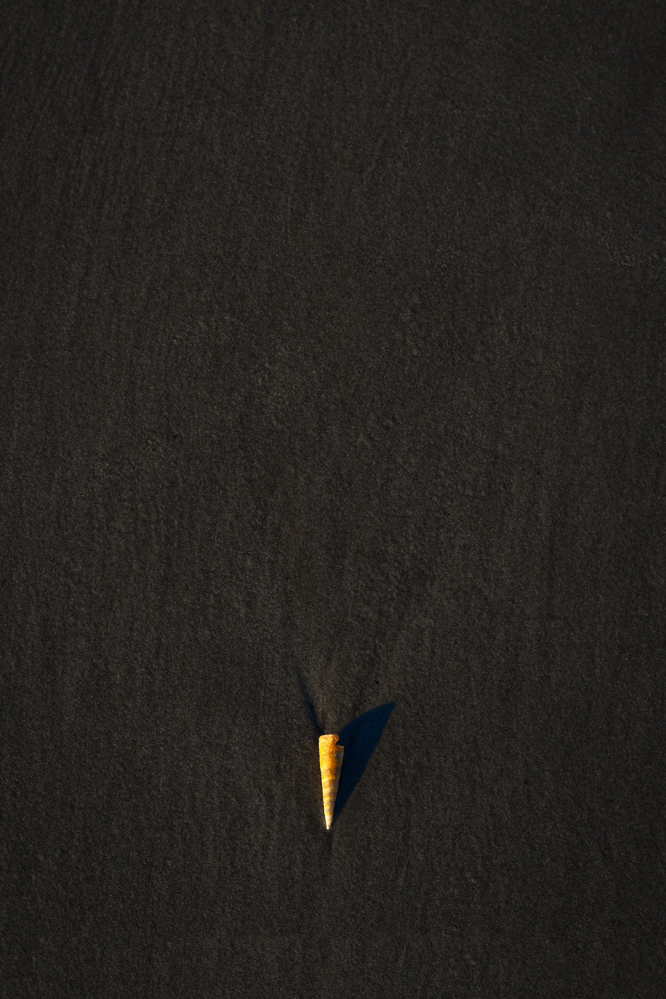 Stand Out Series No.3