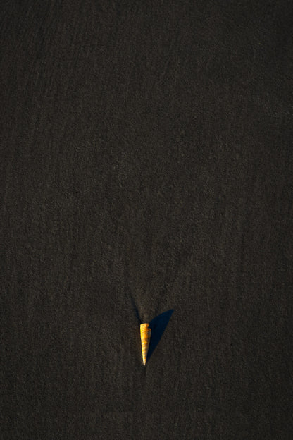 Stand Out Series No.3