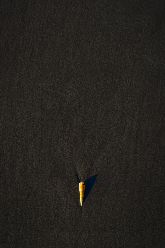 Stand Out Series No.3