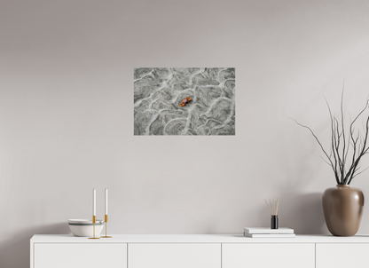 24 x 16″, Fine Art Print Centerpiece Series No.6